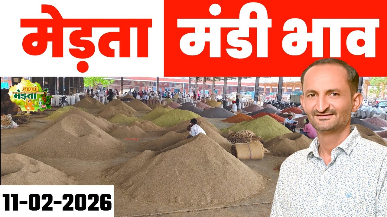 मेड़ता मंडी भाव | Mandi Mandi Today | Merta Mandi Bhav | Gour Bhav | Jeera Bhav Report