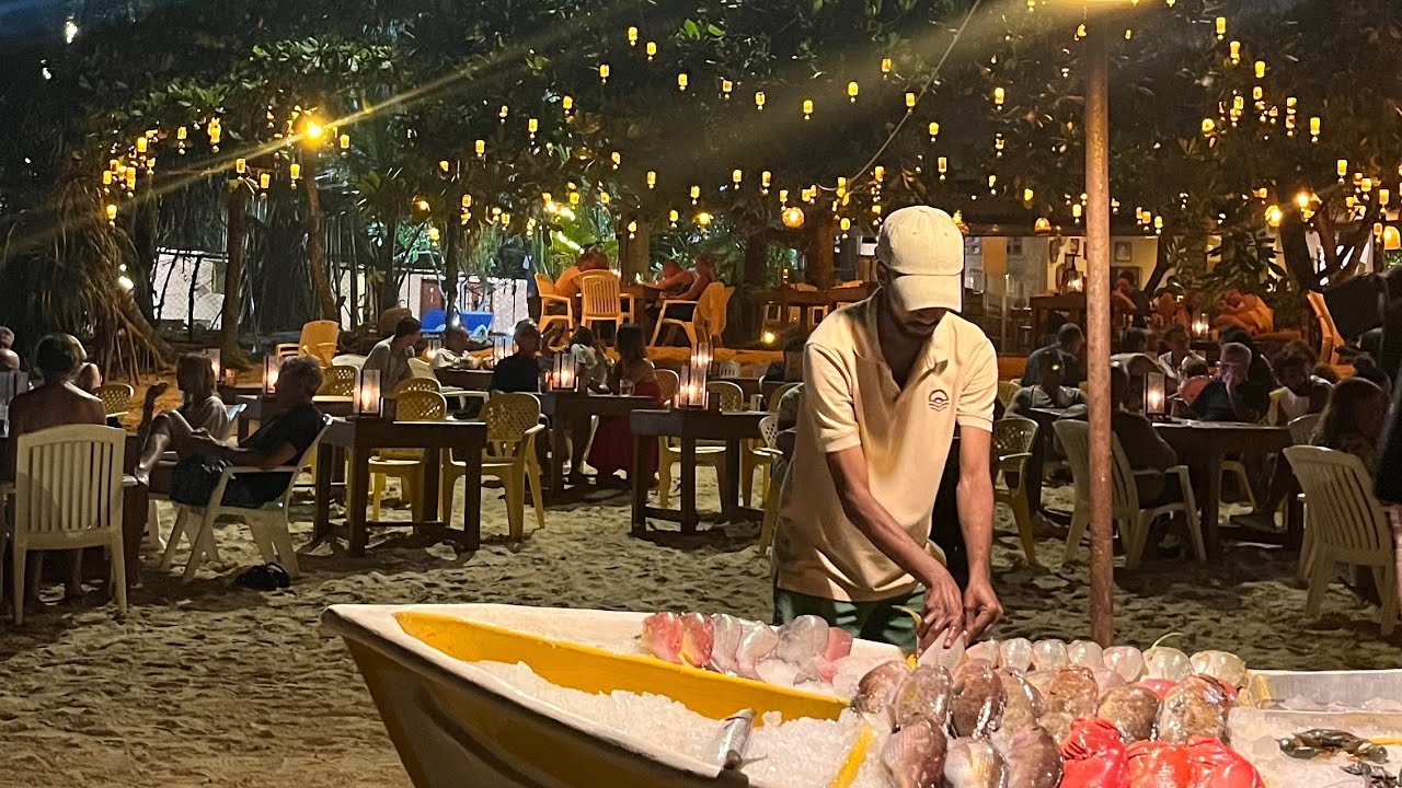 S4 : Épisode 1 : Arrivée au Sri Lanka, MIRISSA 🇱🇰🥥