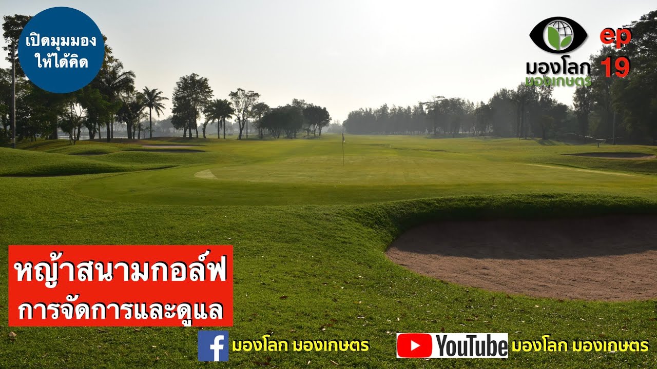 หญ้าสนามกอล์ฟ การจัดการและดูแล | มองโลกมองเกษตร ep19