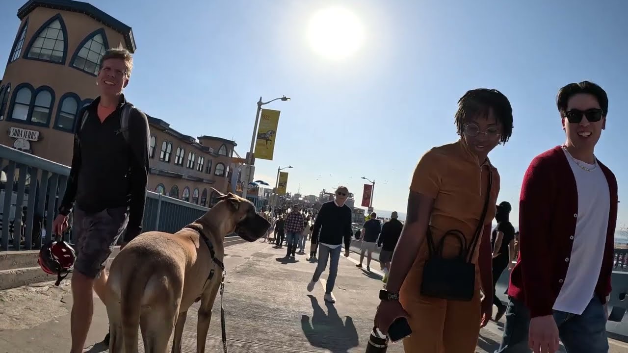 Cash 2.0 Great Dane meeting new people in Santa Monica 87