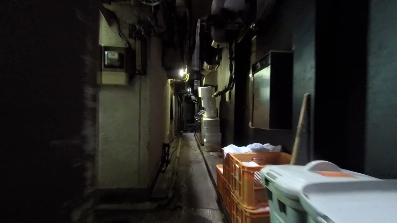 Rare 2019 Footage: Ginza’s Deep & Dirty Back Alley Route