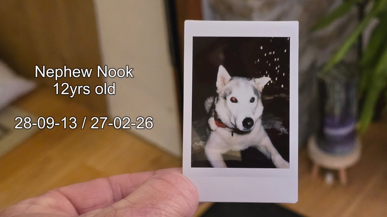 Another Taken Far Too Soon. Farewell Nook