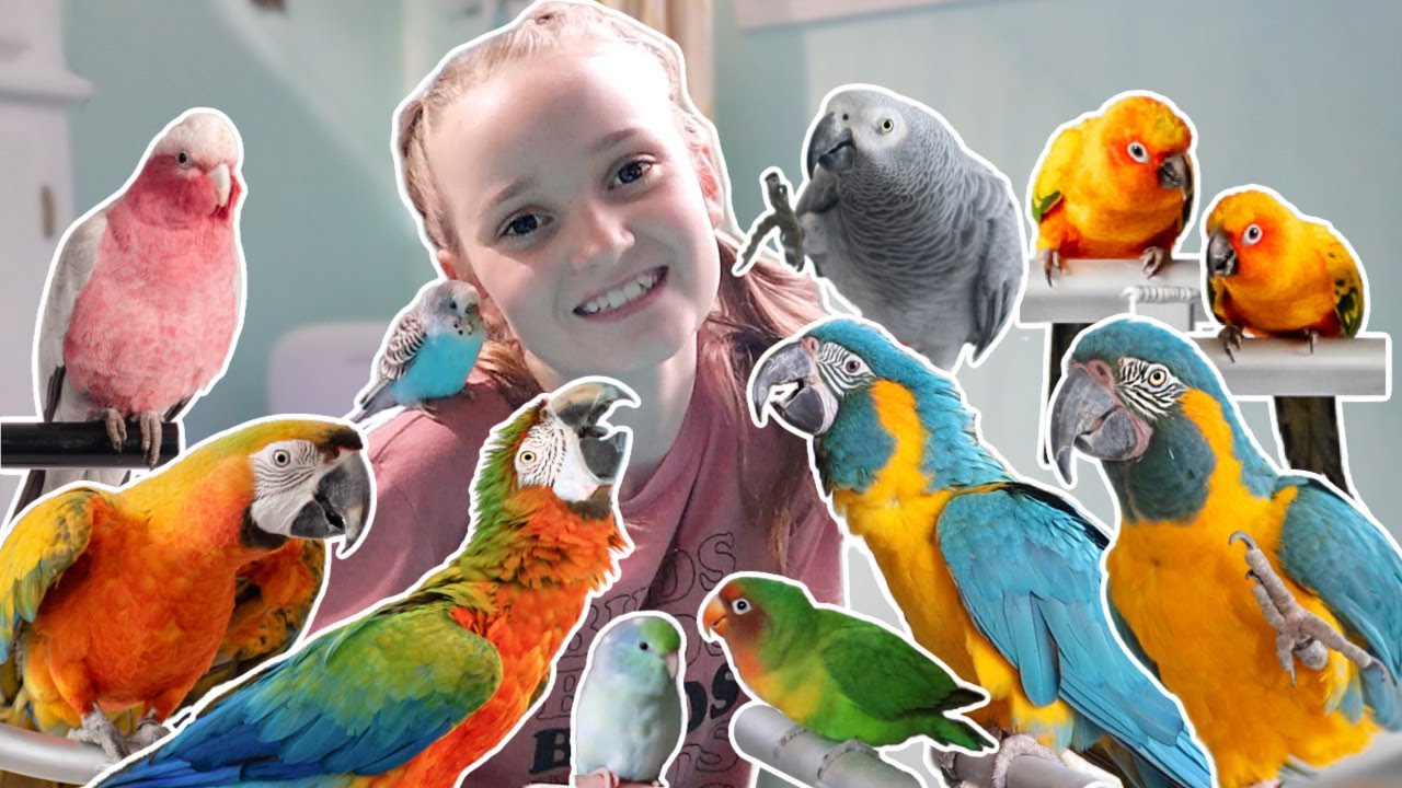 Rating ALL MY BIRDS 😅🤪🥺🫣😱