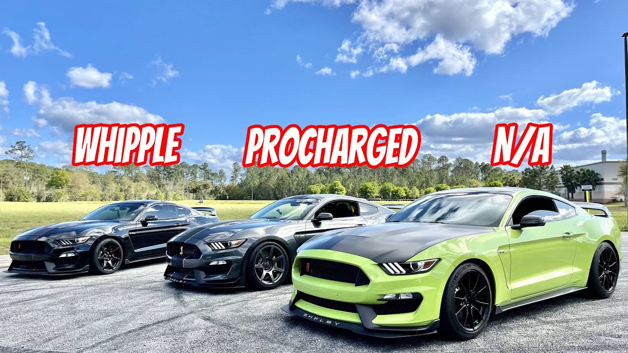 Whipple GT350R vs Procharged GT350 Ft @DrivewayDemons