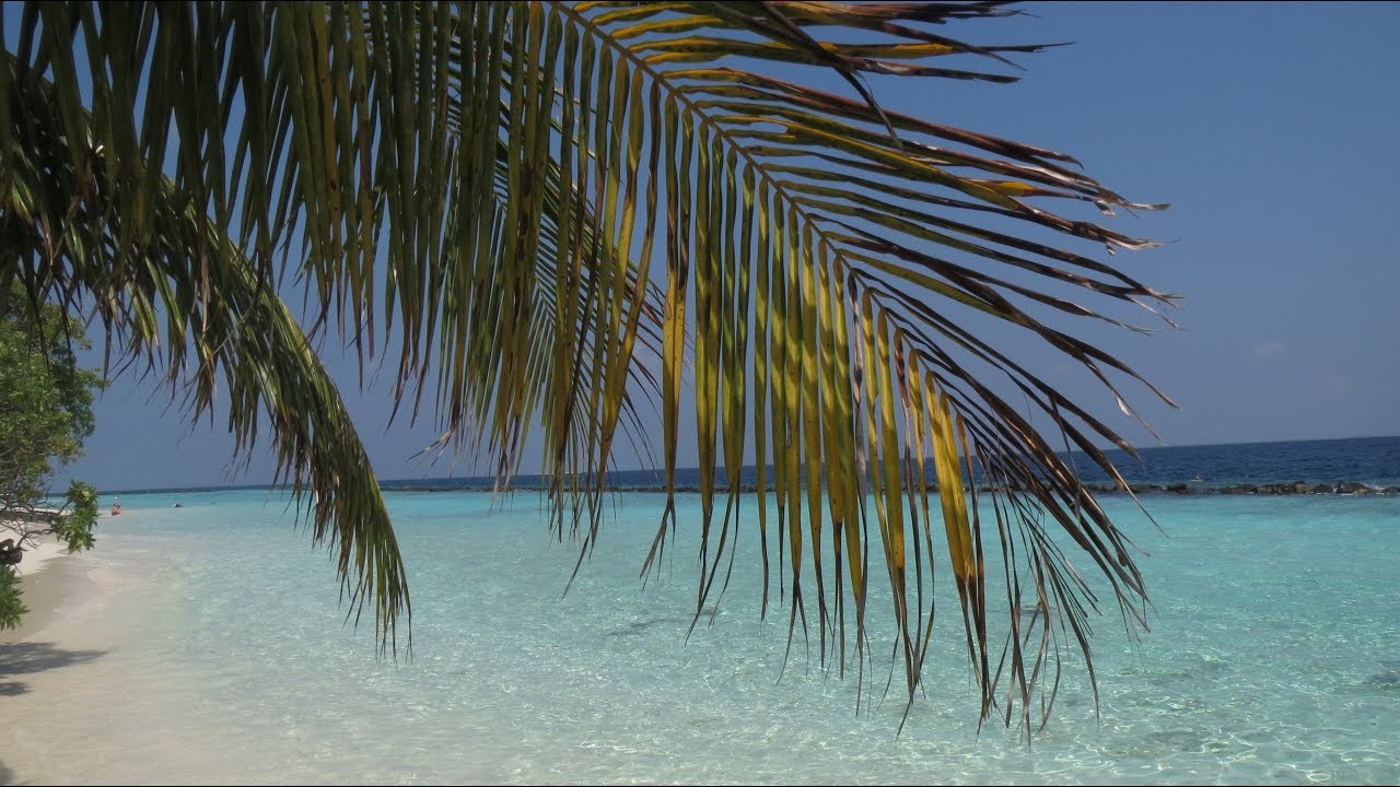 Maldives Royal Island Resort & Spa 2019