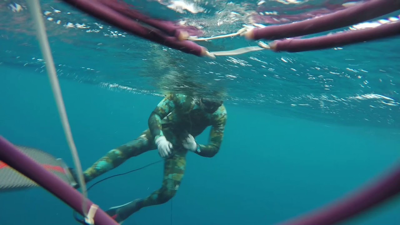 Spearfishing Indonesia 2016 Deamonteak