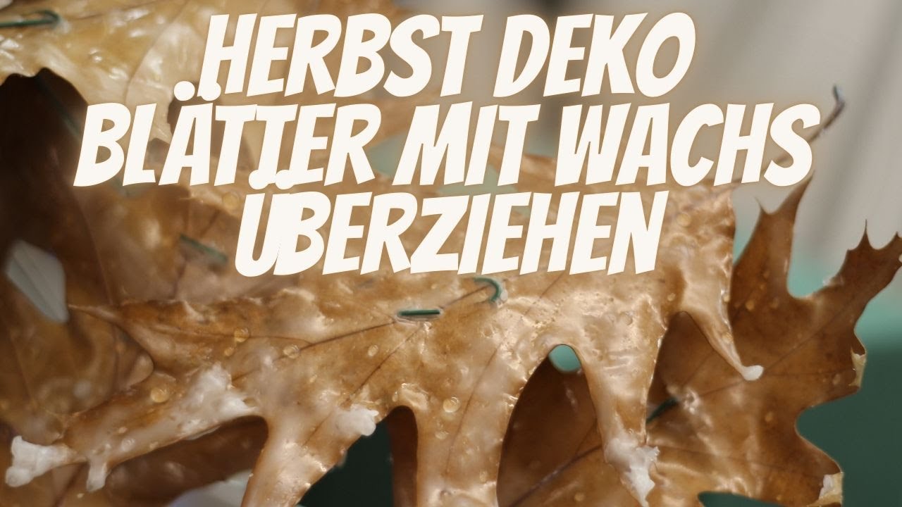 Herbst Blatt Konservieren & dekorieren - Wie überziehe ich ein Herbstblatt mit Wachs  DIY Anleitung