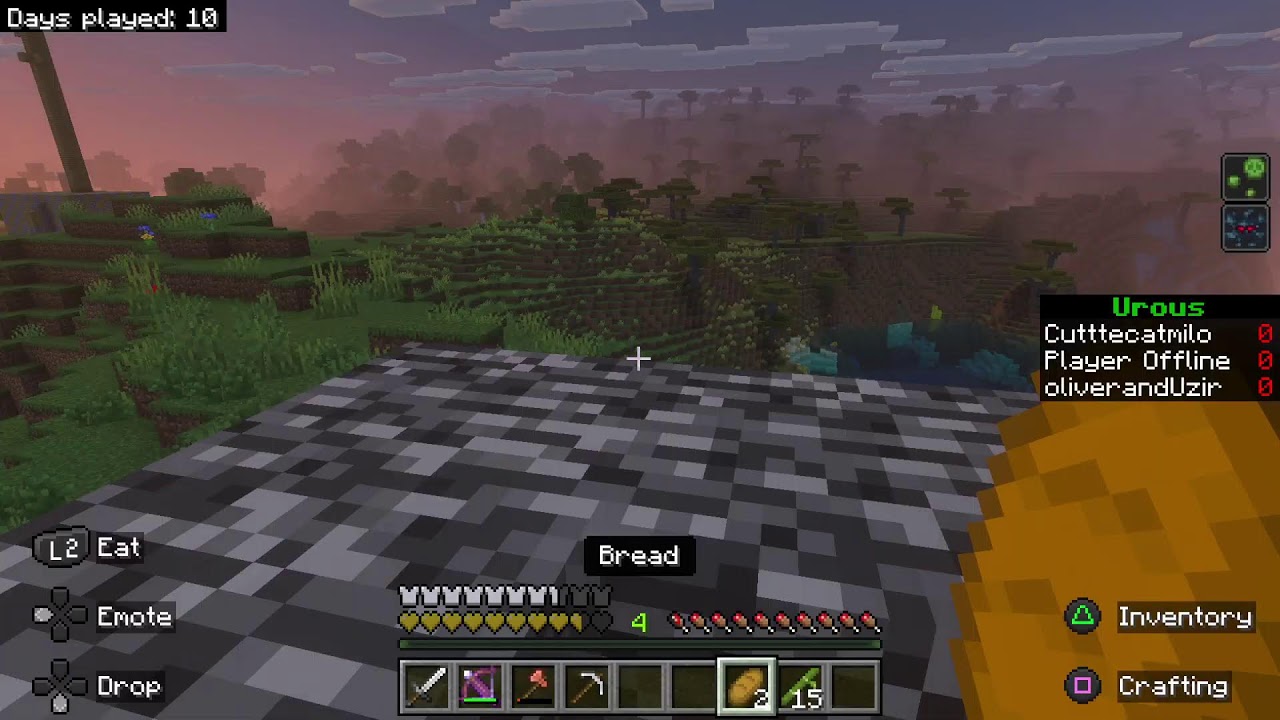 Minecraft SMP!