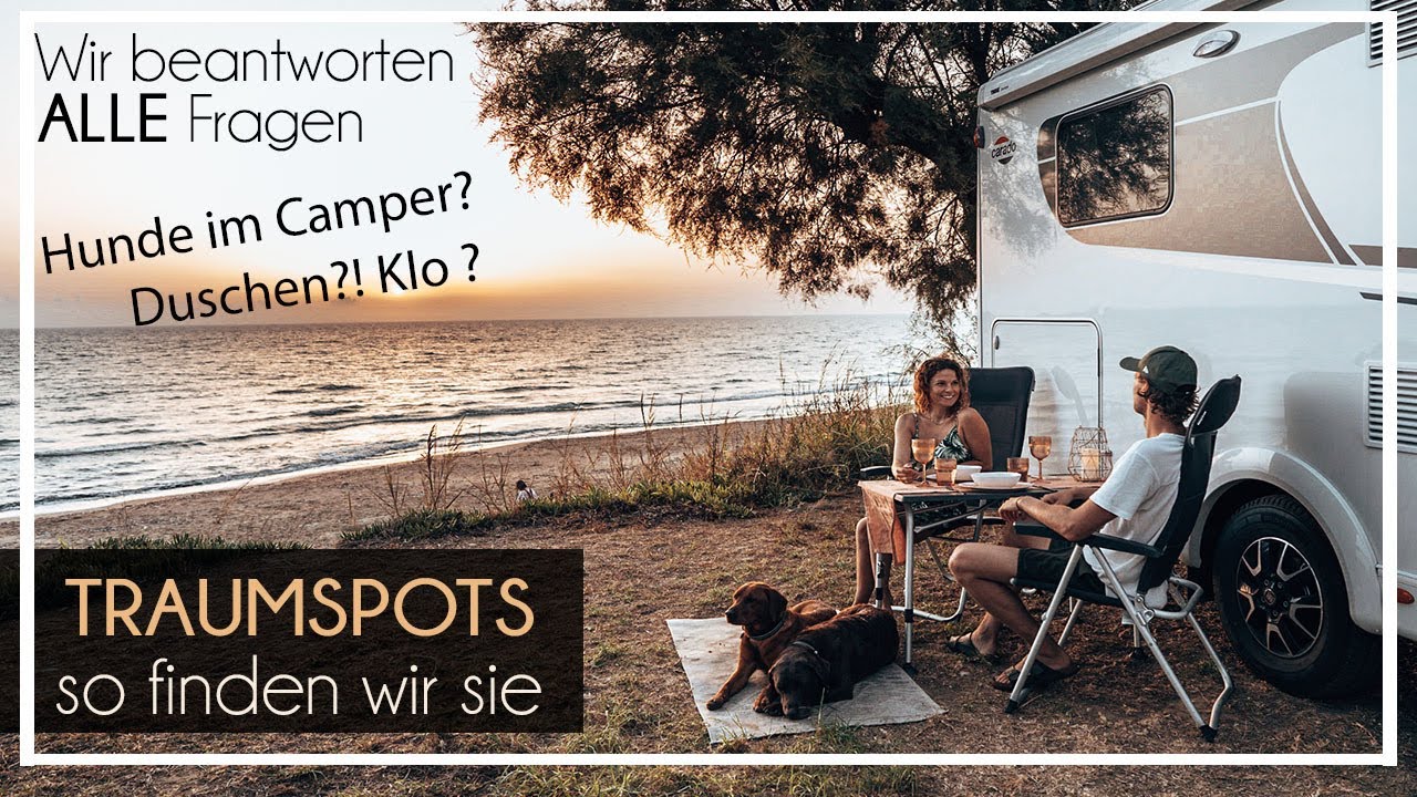Camping mit Hund | wir beantworten ALLE Fragen | Chocolate + Foxred Labrador |  KaroLovesMilka
