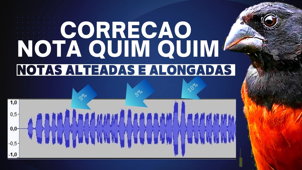 selo prata fh 30 anos correcao QUIM QUIM | 3% e 10% notas alteadas