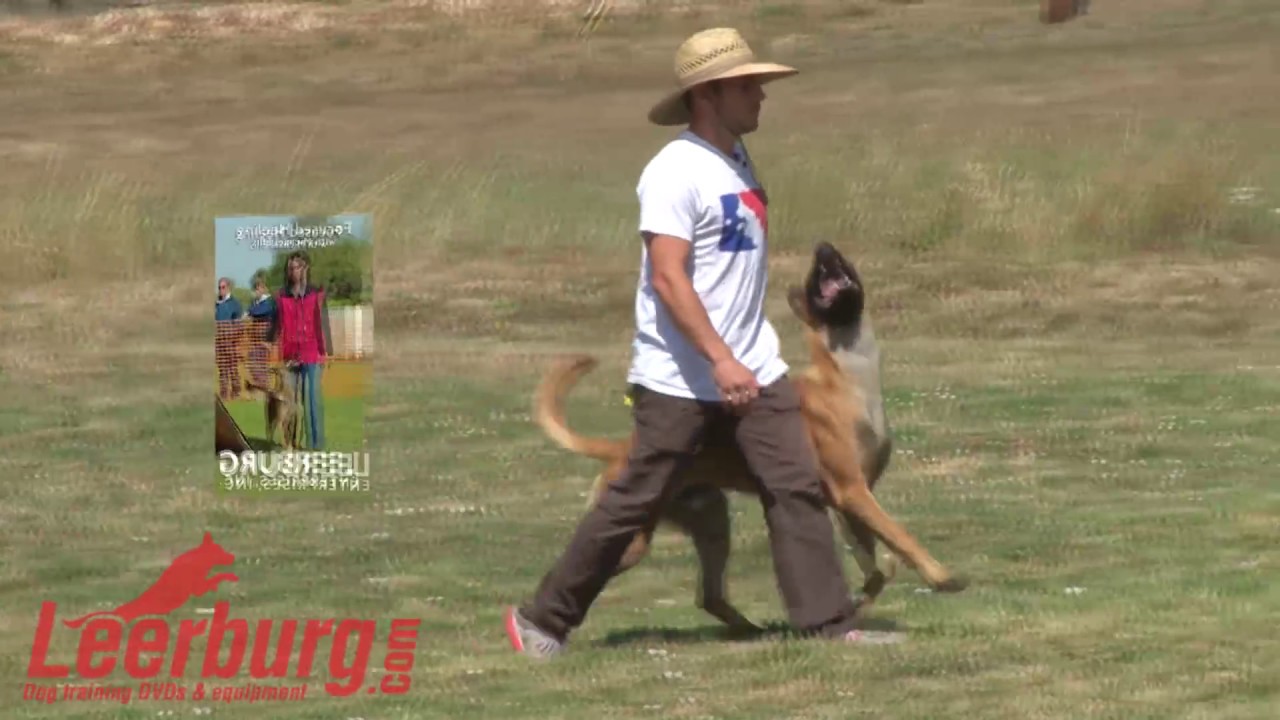 Focused Heeling Demo