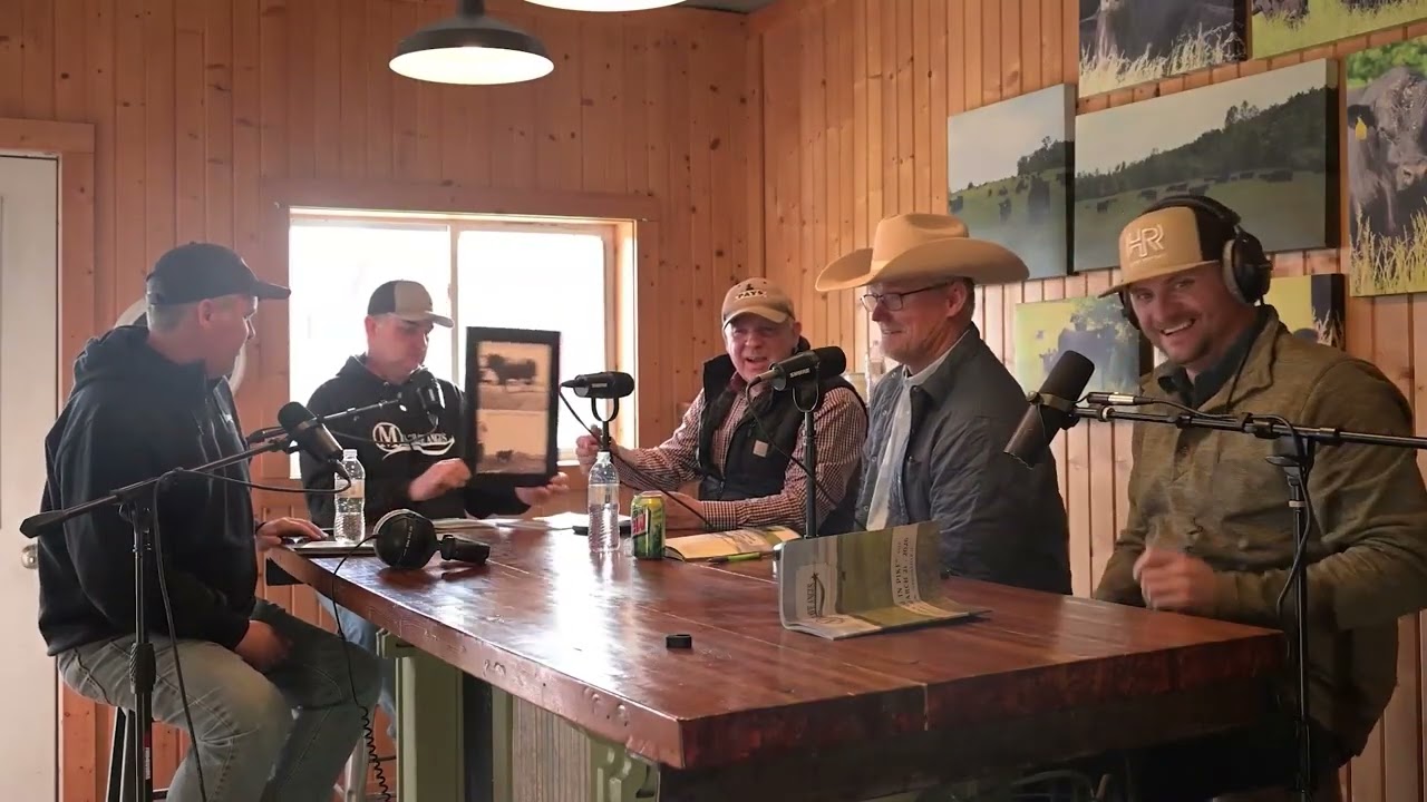 Musgrave Angus Spring Sale Preview | Herd Report Spotlight Series