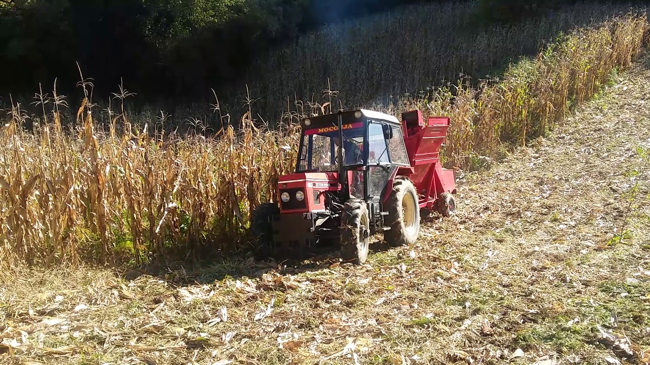 Zetor 6045 berba kukuruza u velikoj strani....neda se zećo