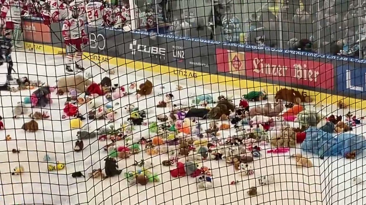 Black Wings Linz Teddy Bear Toss 2024