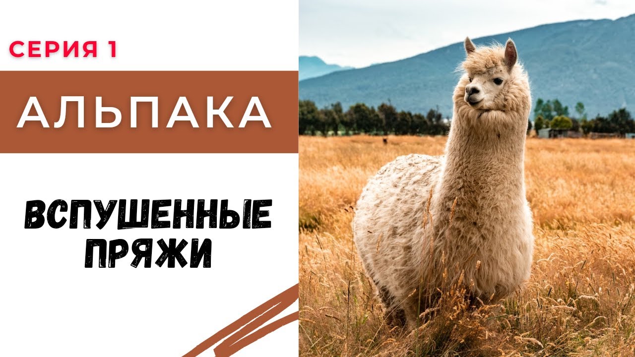 Как работать со вспушенными пряжами. Вспушенная альпака