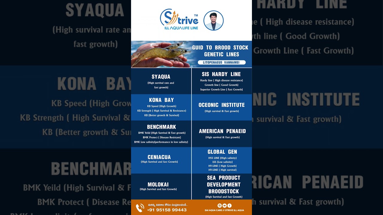 GUIDE TO SPF BROOD STOCK GENETIC LINES(Litopenaeus vannamei) #shrimpfarming #aquaculture