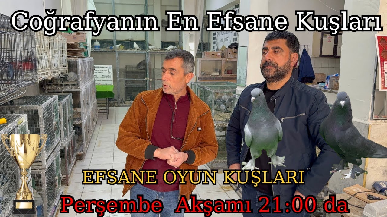 Almanca Kardeşlerden Türkiye’nin En Büyük Kuşları Bu Akşam 21:00 da 🌹🕊️
