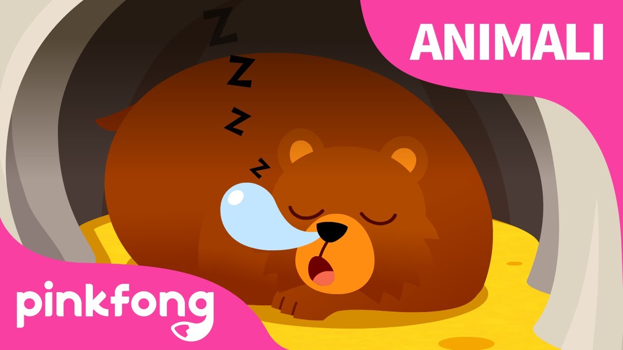 La Canzone del LetargoㅣCanzoni sugli AnimaliㅣPinkfong, Bimbo Squalo! Canzoni per Bambini