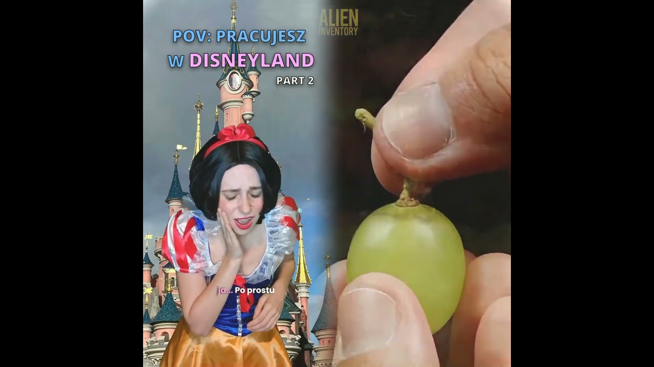 Jak myślicie praca w Disneylandzie jest fajna czy nie 
