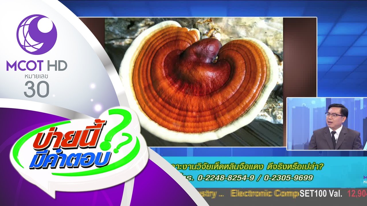 บ่ายนี้มีคำตอบ (4 เม.ย.60) เจาะงานวิจัยเห็ดหลินจือแดง ดีจริงหรือเปล่า | ช่อง 9 MCOT HD