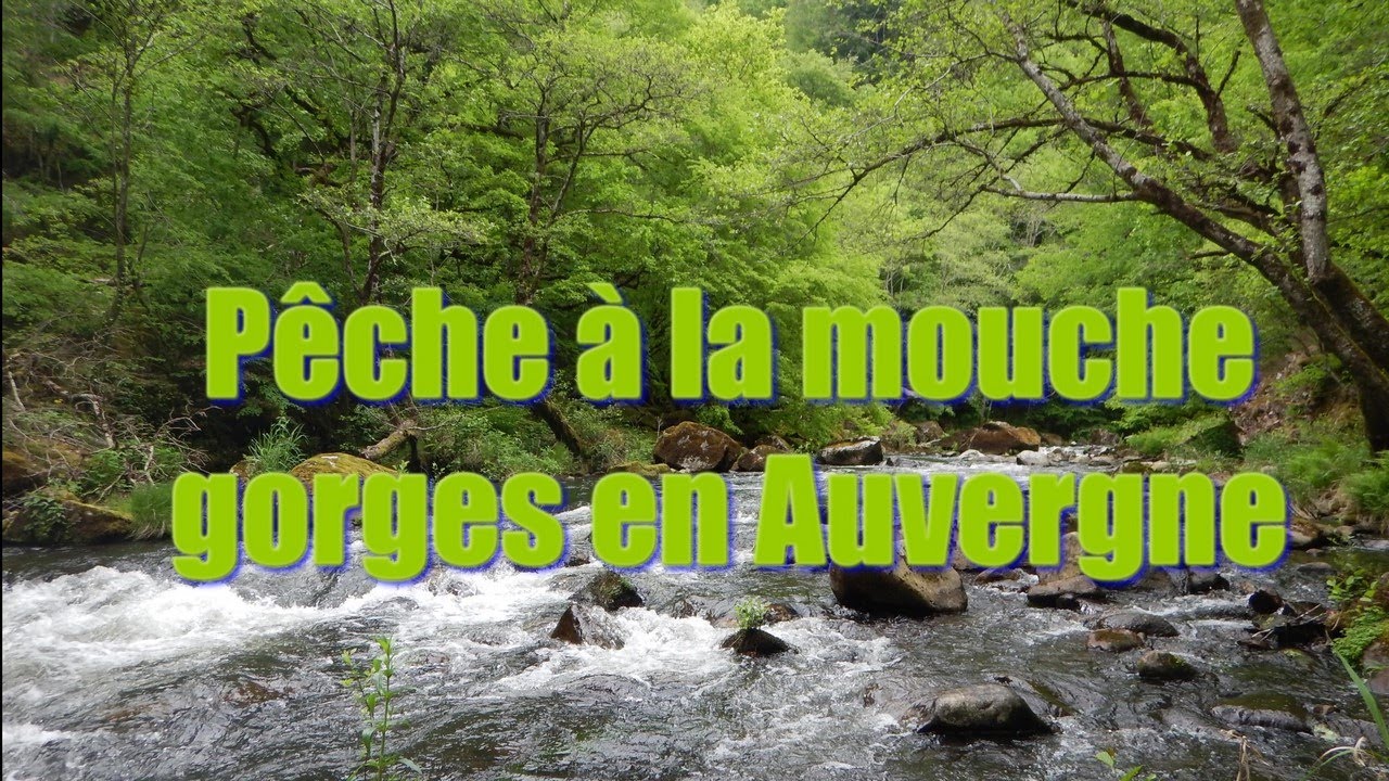 Pêche à la mouche dans des gorges sauvages (Auvergne)