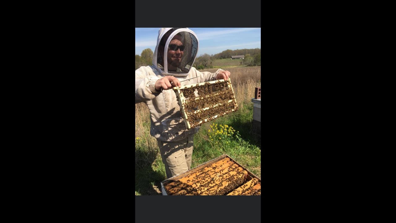 A discussion on treatment free beekeeping between Cory Stevens and Troy Hall.