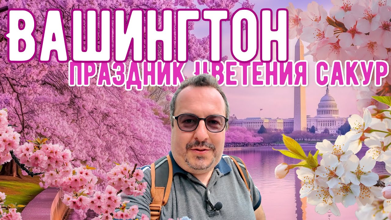 Вашингтон. Прогулка по центру во время праздника цветения сакур.