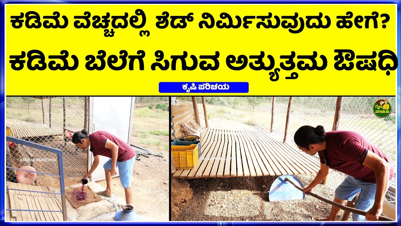 ಶೆಡ್ ನಿರ್ಮಿಸುವುದು ಹೇಗೆ?  || Potassium Permanganate use in Sheep Farm !  sheep farming shed design