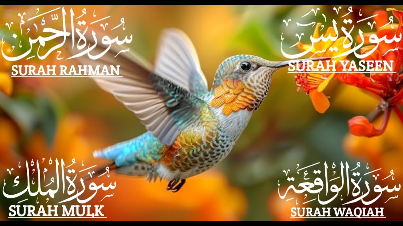 تلاوة تريح القلب سورة يس❤️الواقعة❤️الرحمن❤️الملك❤️ لزيادة الرزق و البركة.Yaseen🔴Rahman🔴Mulk🔴Waqiah✅💯