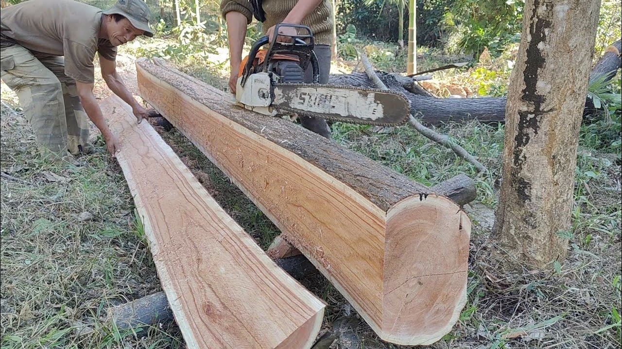 Навыки обработки бревен нима на бруски размером 3 × 2 × 144 дюйма с использованием бензопилы Stih...