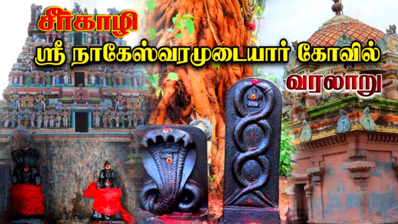 சீர்காழி ஸ்ரீ நாகேஸ்வரமுடையார் கோவில் தலபுராண வரலாறு | History of Sirkali Nageswaramudayar Temple