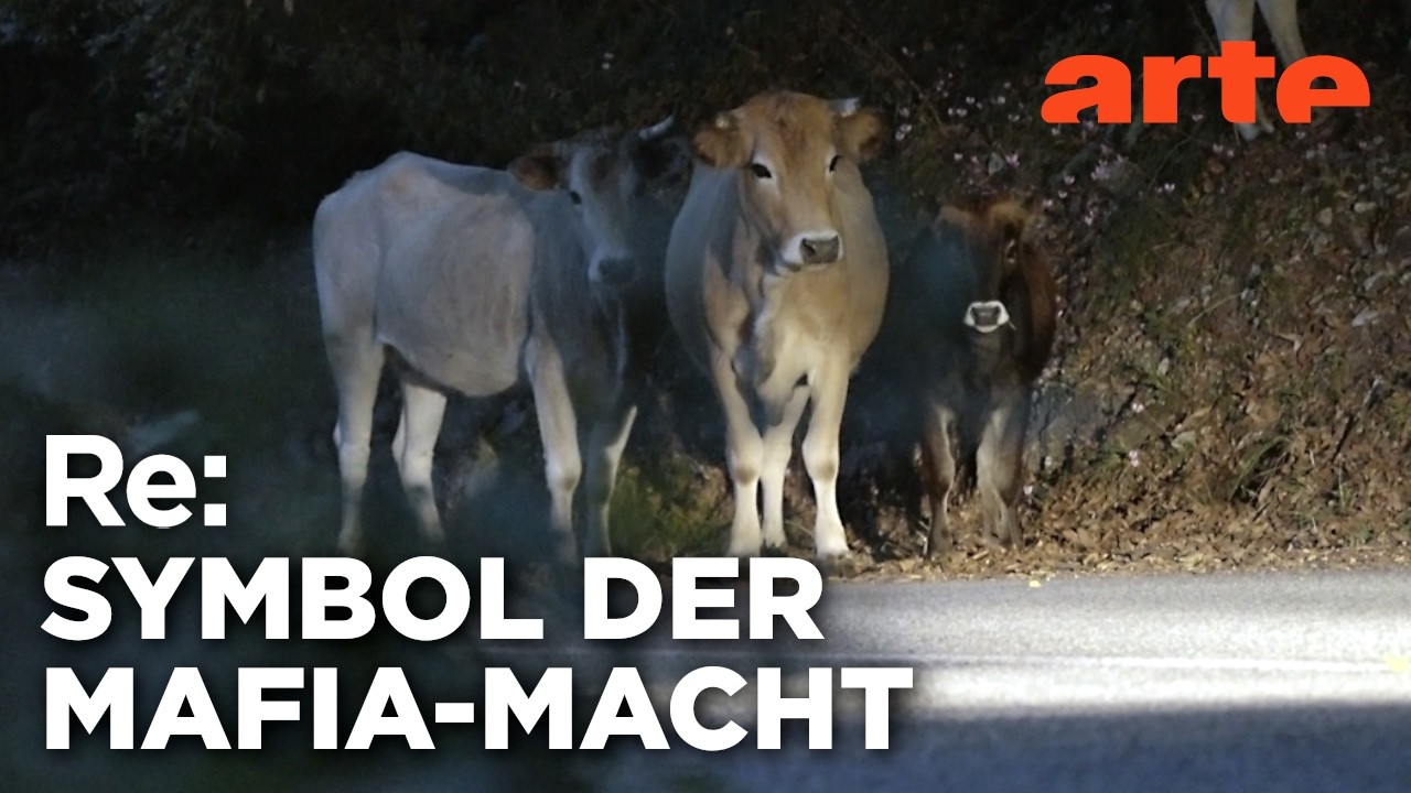 Die heiligen Kühe der Mafia | ARTE Re: