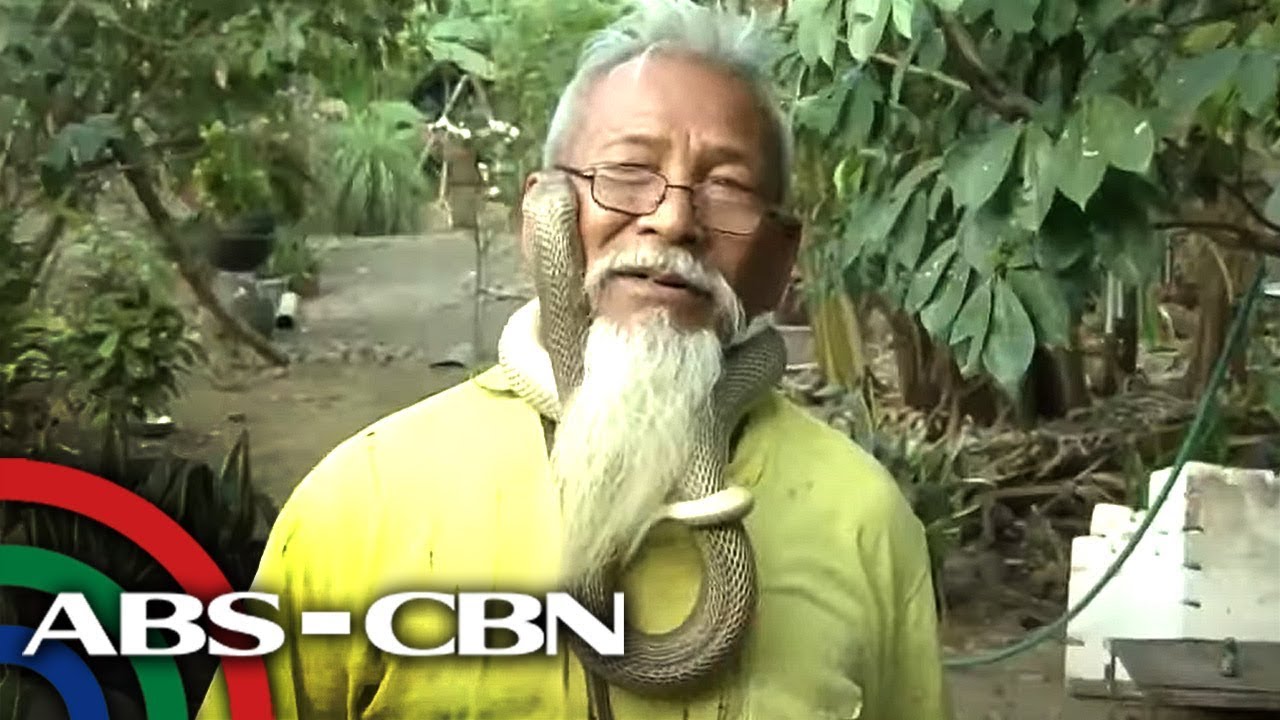 Feeling safe kay Cobra King | Rated K