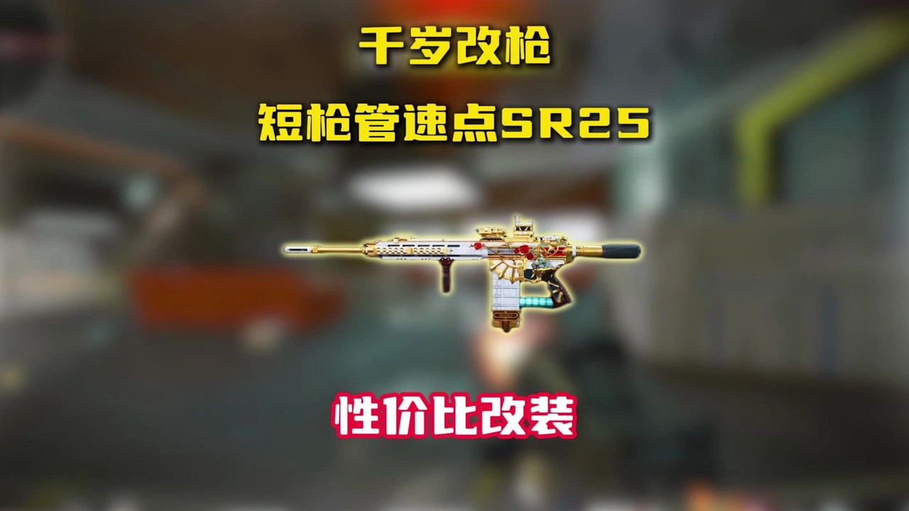 千岁短管SR25性价比改装教学#三角洲行动