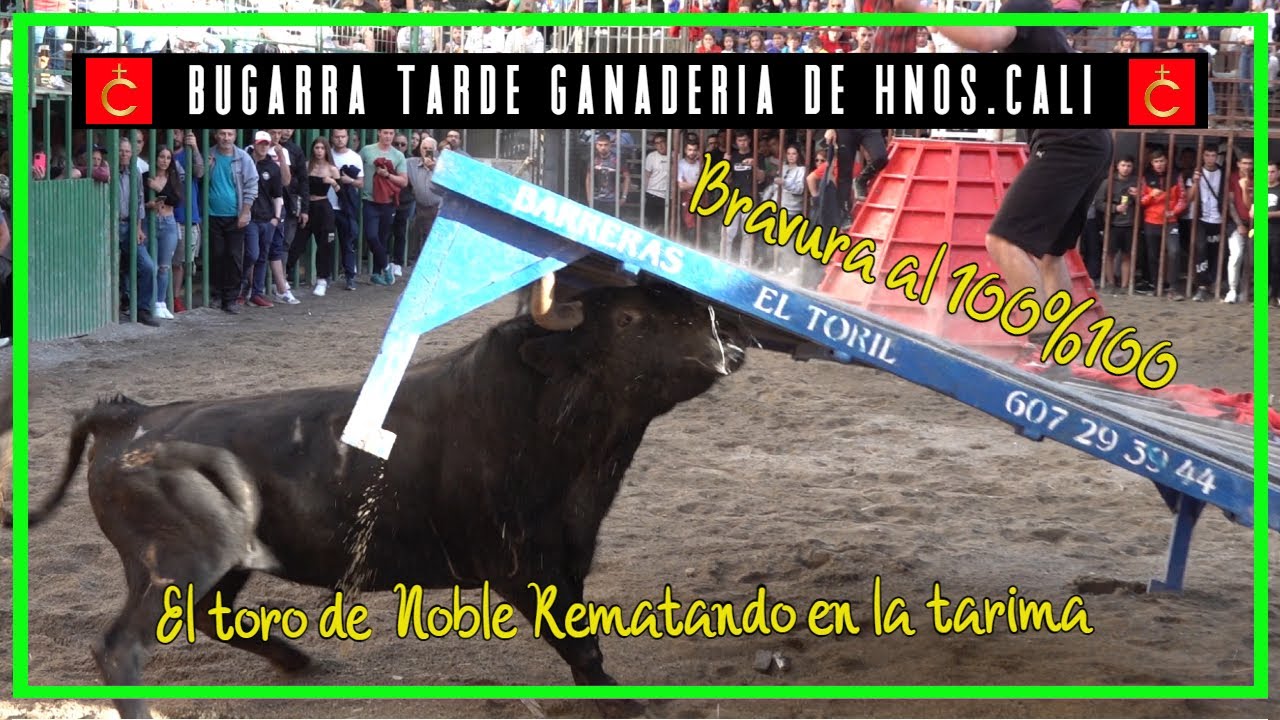 🆑 Bugarra 14 ▪ 04 ▪ 23 Tarde de la  Ganadería de Hnos Cali 🆑