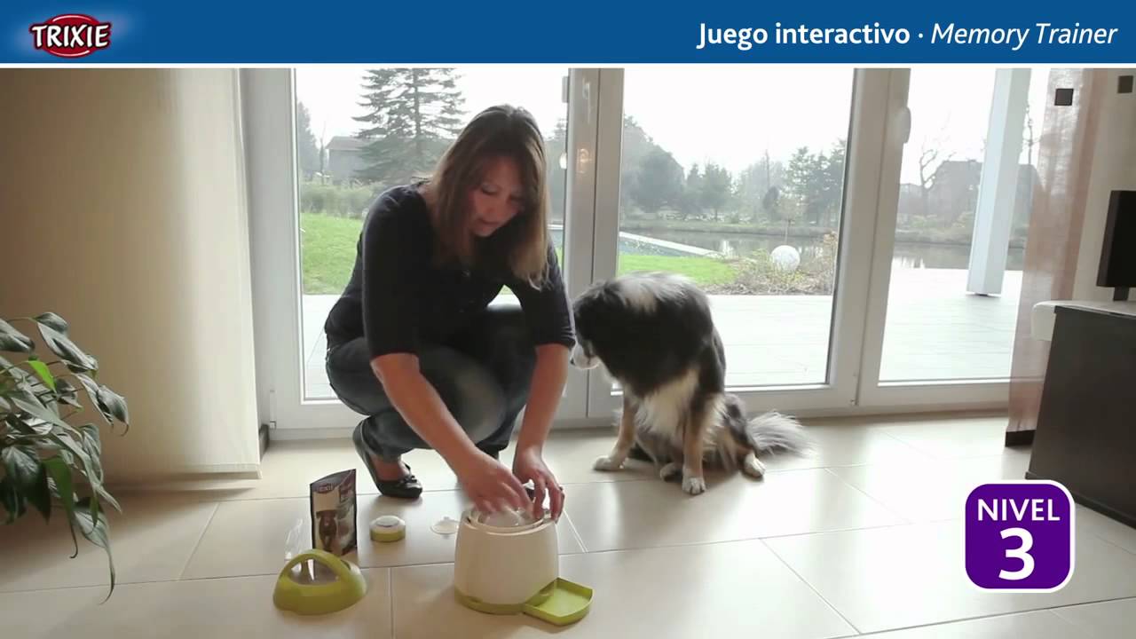 Juego de inteligencia para perros Trixie Dog Activity Memory Trainer