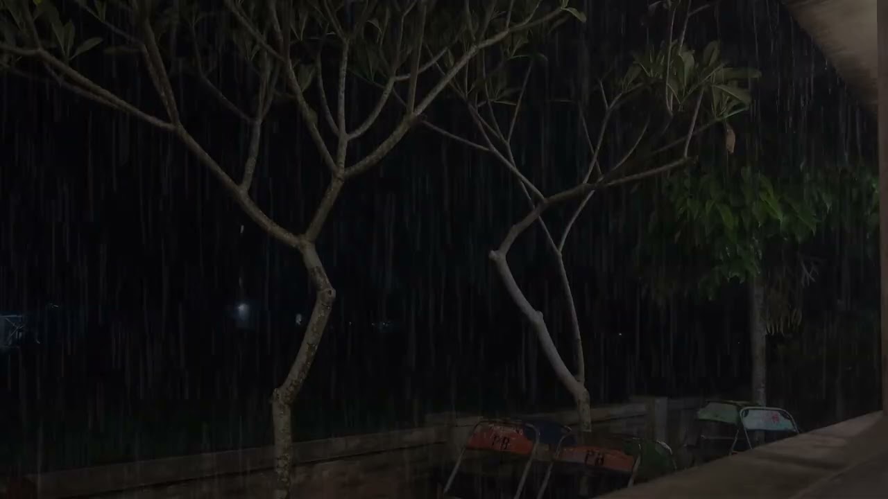 Peaceful Rain Sounds  Nature Rain ASMR for Deep Sleep 🌿😴