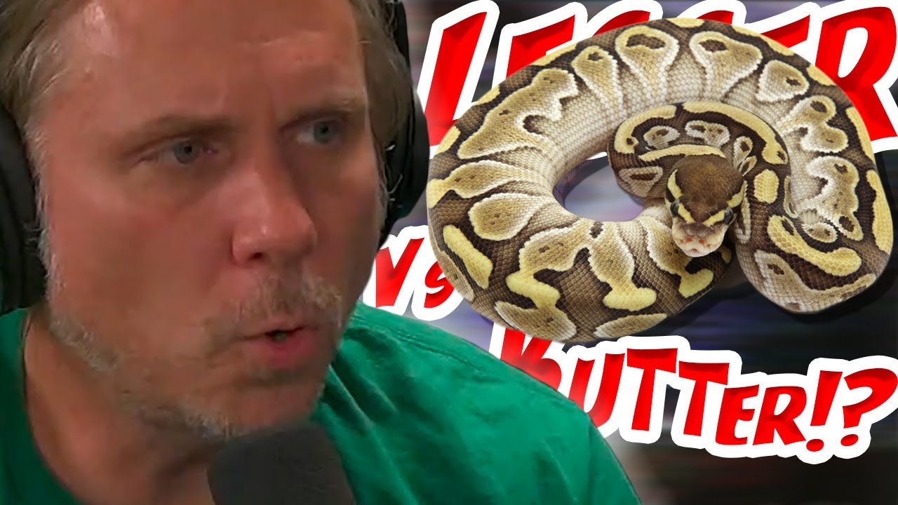 Brian Barczyk on the Differences of the Butter, or Lesser Ball Python!