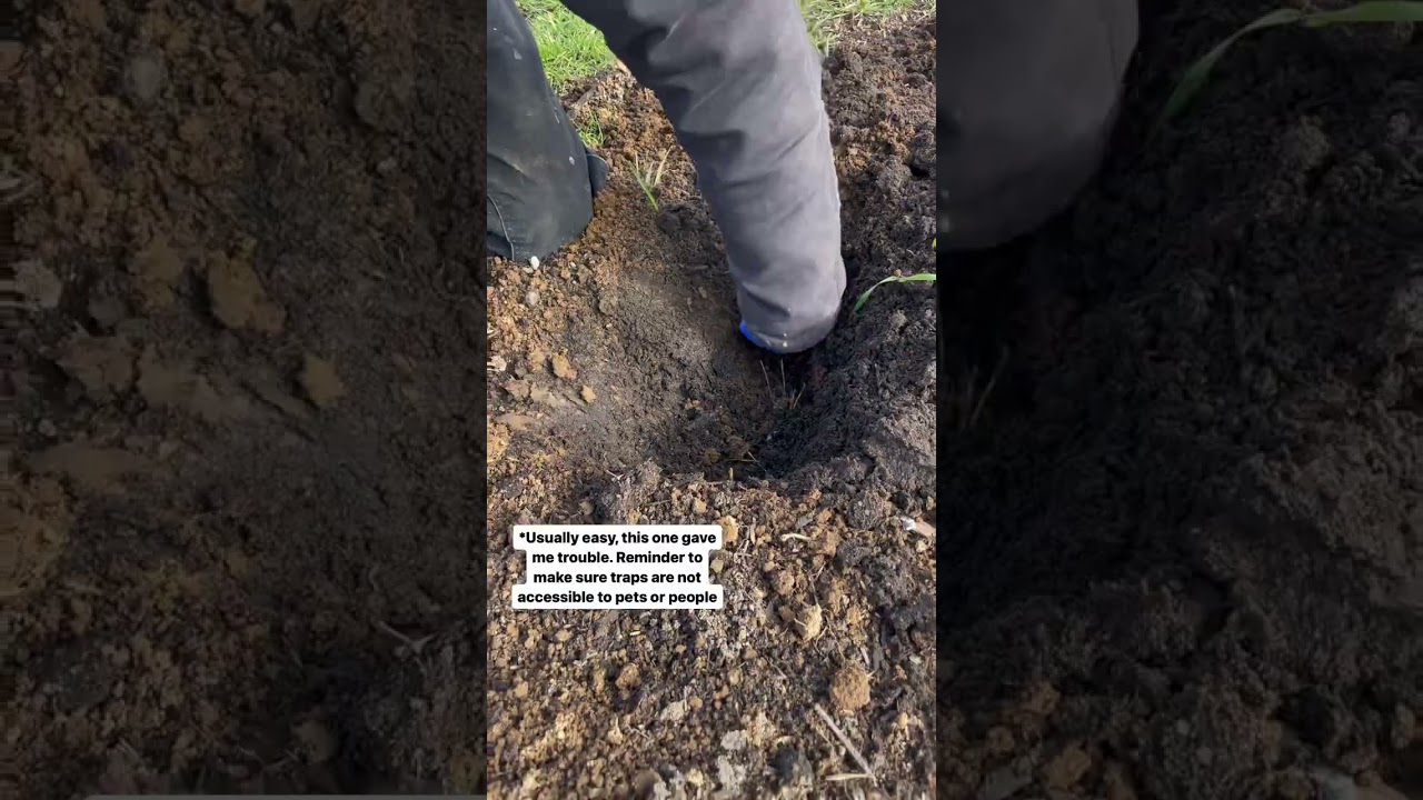 Наконец-то действенный способ удаления родинок. С любовью, папа.