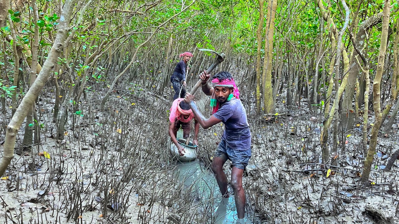 অমাবস্যার গোনে খাল ভেঙ্গে অনেক কলা পারসে ধরলাম sundarban fishing!!!