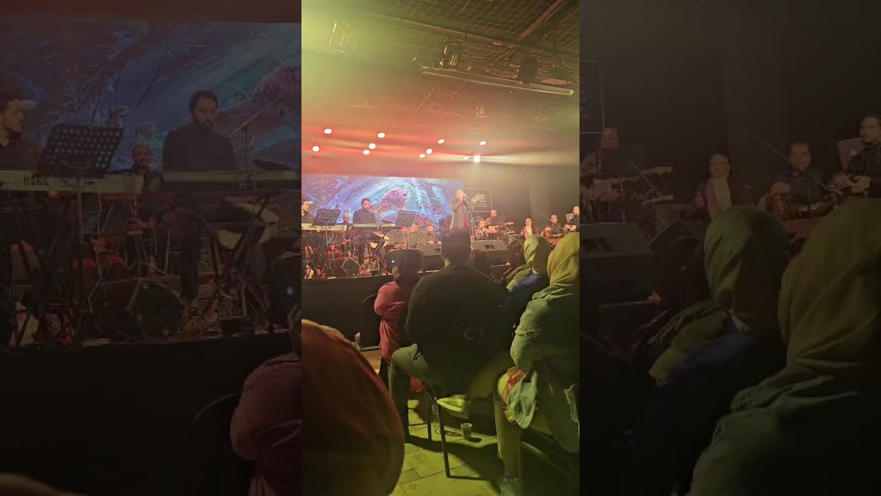 حفل الفنان الكبير على الحجار ١٤ فبراير 