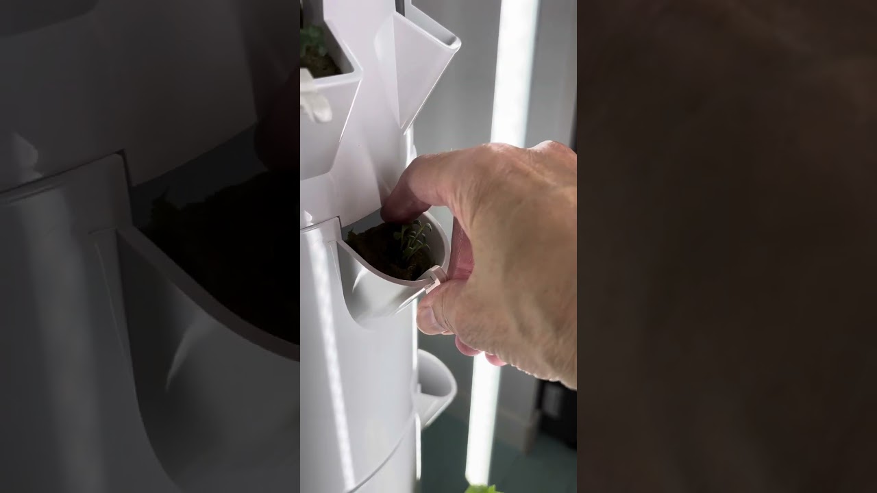 Do I use a net pot or clip for my Tower Garden plants?