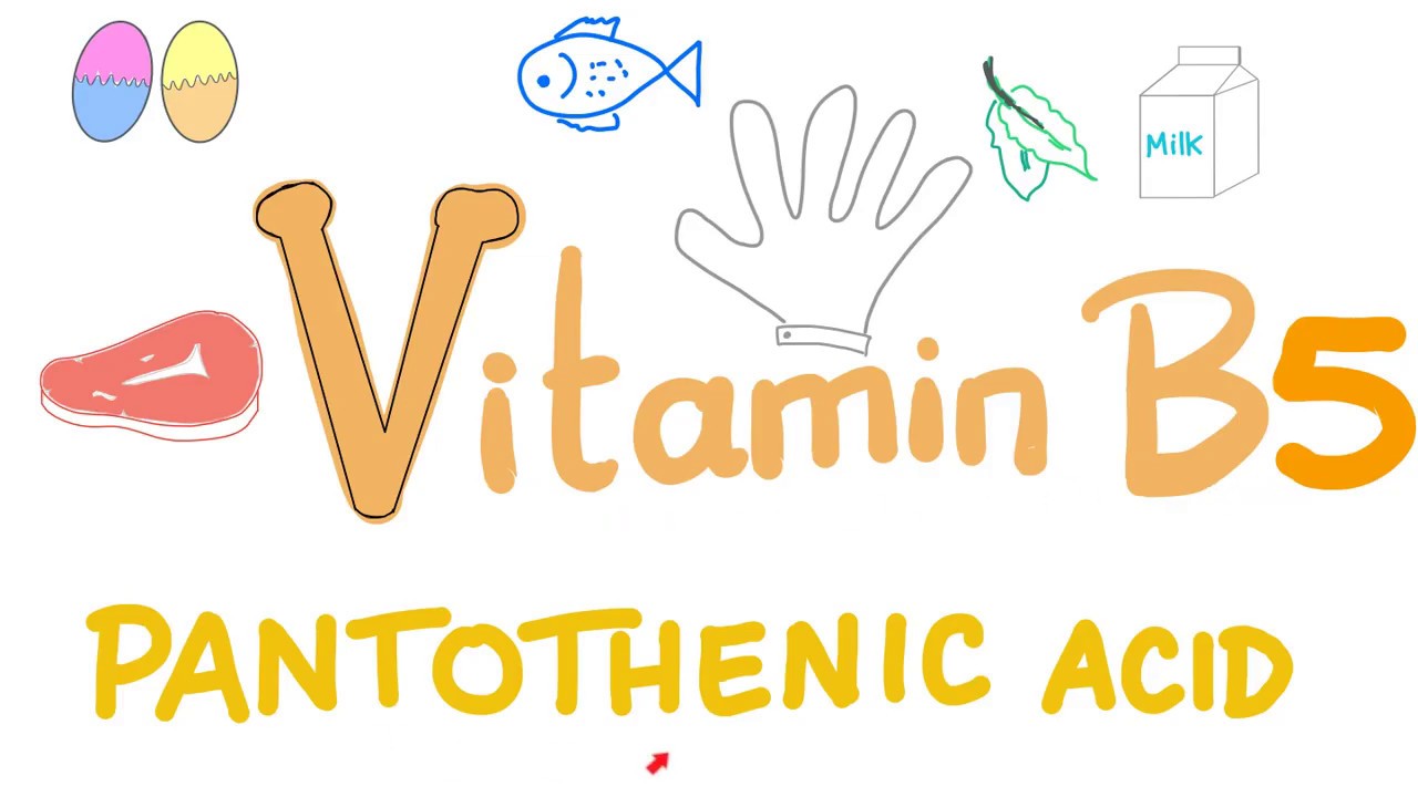Vitamin B5 (Pantothenic Acid) 🥬🍗🍳 - All You Need to Know - Diet and Nutrition