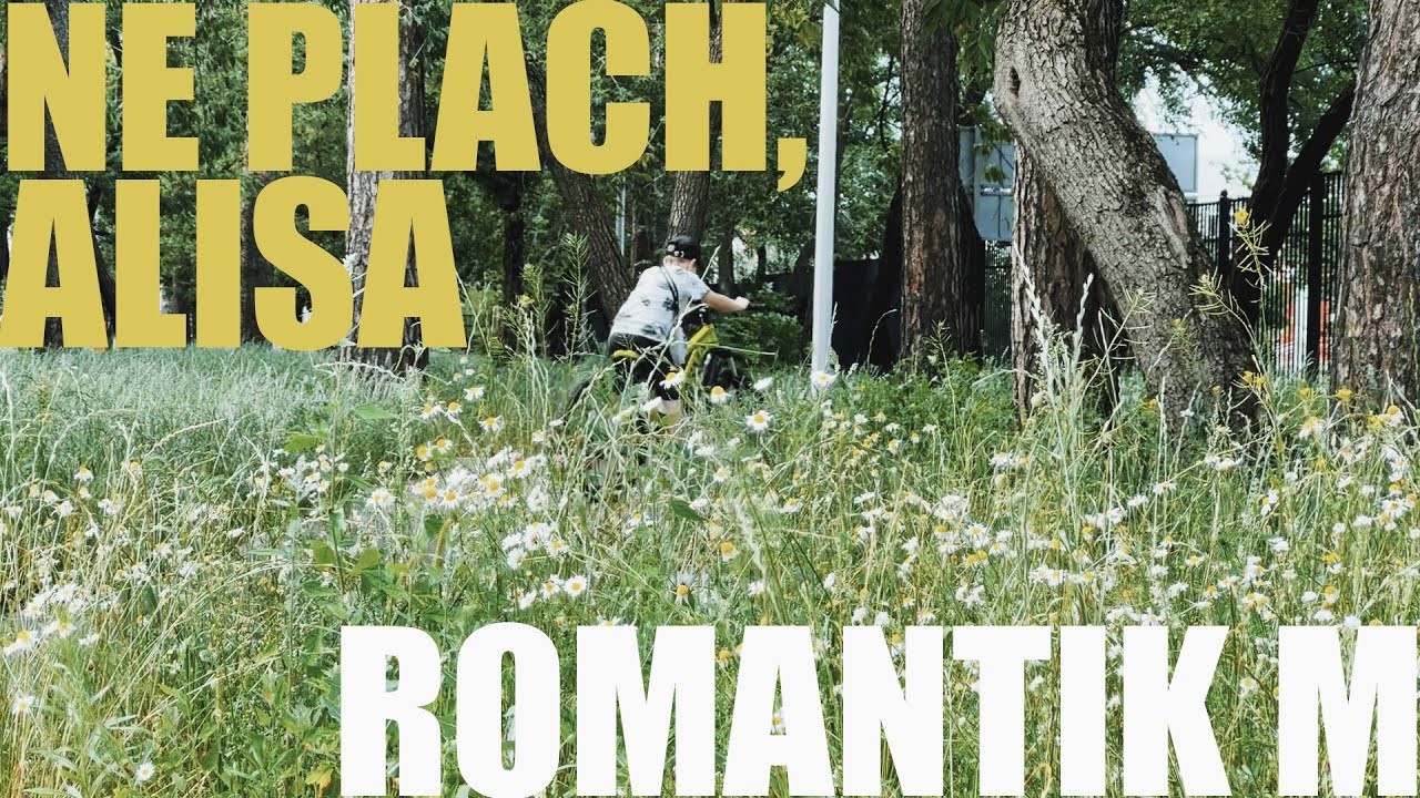 romantik m - ne plach, alisa (andrej derzhavin cover)