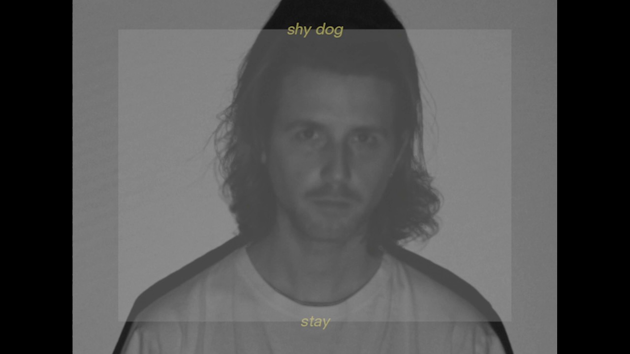 Shy Dog - Stay (Official Video)