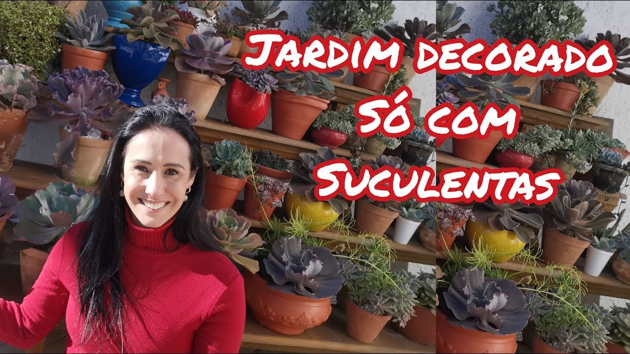Jardim maravilhoso só com SUCULENTAS!
