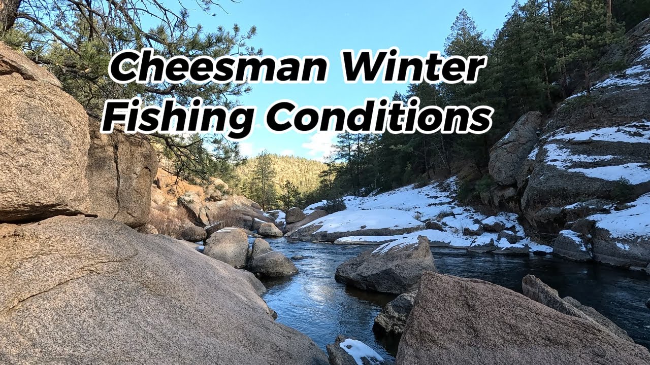 Fly Fishing Cheesman Canyon | Finding Active Trout in Cold Conditions