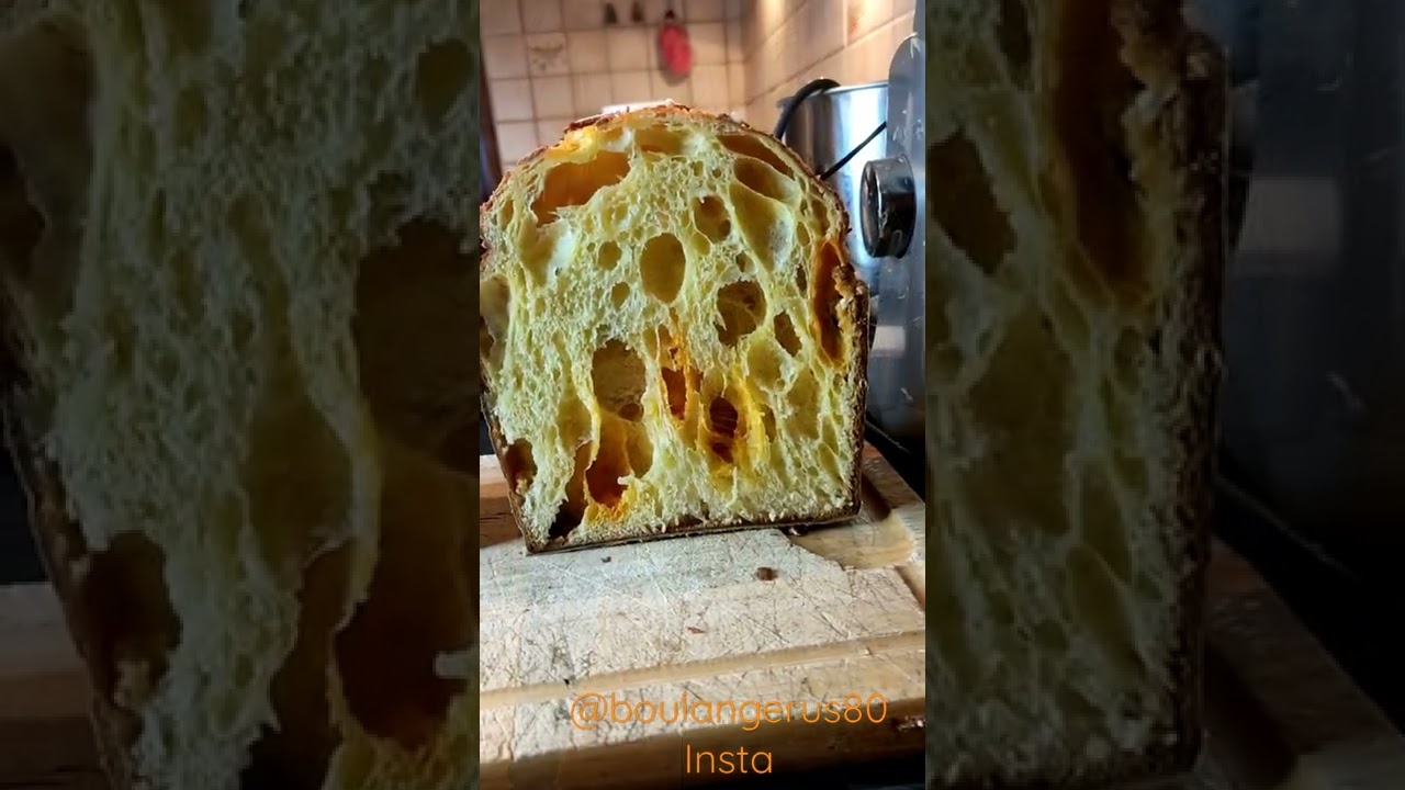 #panettone #bakery #lievitomadre #massamadre