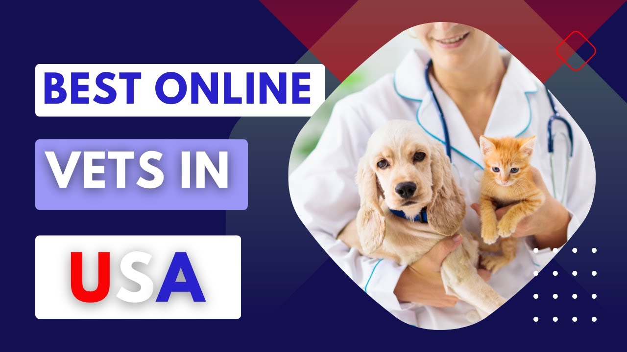 🏥💻 Best Online Vets in the USA 🐾🐶🐱🐰