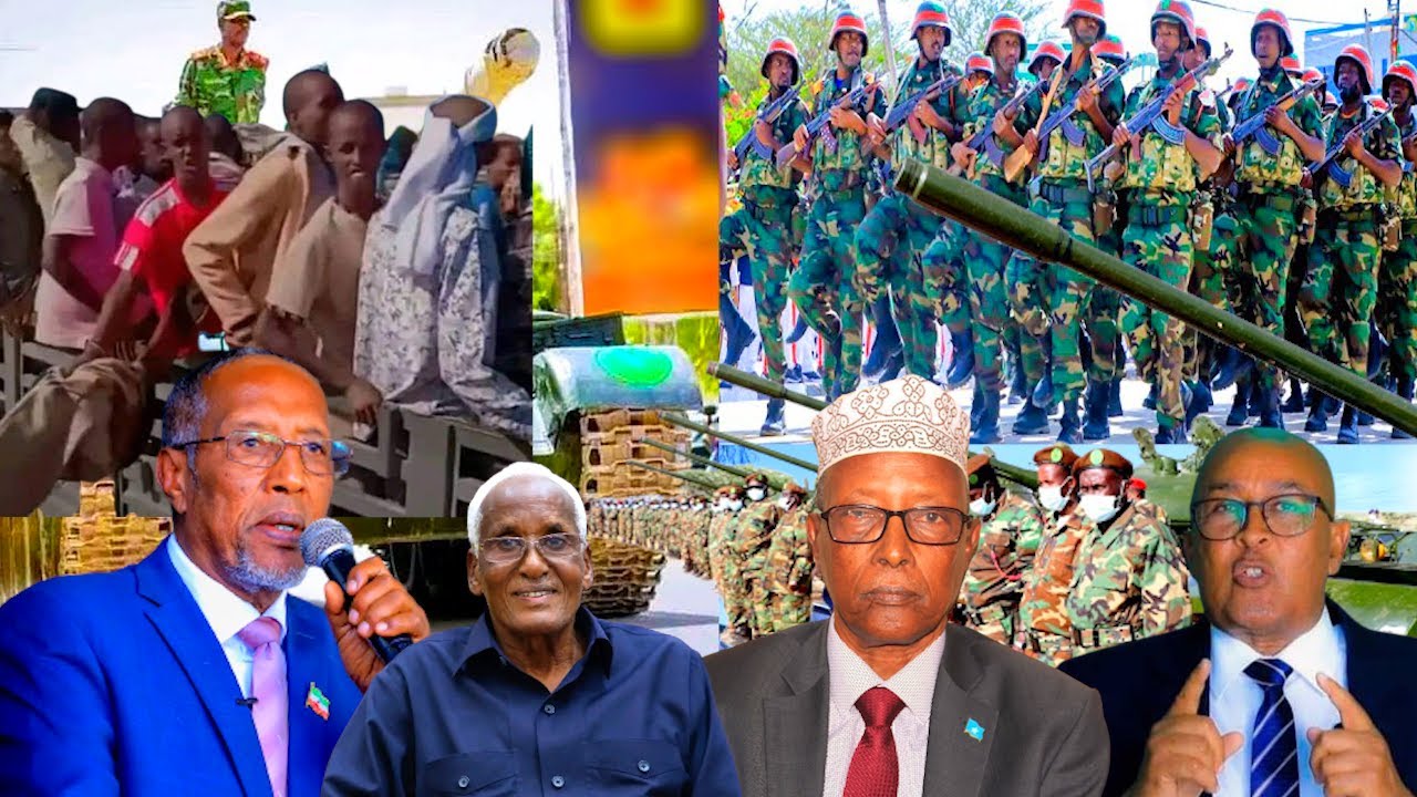 Deg Deg Muuse Biixi Oo Xaalada Ku Xun Tahay, Beesha Sacad Oo Alshabab Ka Aarsatay